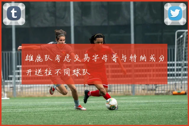 雄鹿队考虑交易字母哥与特纳或分开送往不同球队